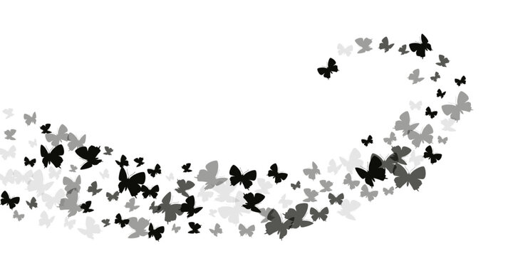 Magic black butterflies isolated vector background. Summer pretty moths. Detailed butterflies isolated kids wallpaper. Sensitive wings insects patten. Fragile beings.