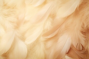 Sepia pastel feather abstract background texture 