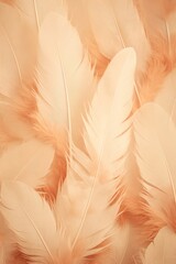 Sepia pastel feather abstract background texture 
