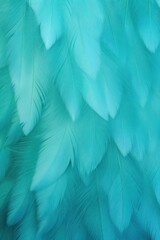Teal pastel feather abstract background texture