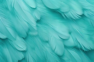 Fototapeta na wymiar Teal pastel feather abstract background texture