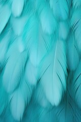 Turquoise pastel feather abstract background texture