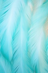 Fototapeta na wymiar Turquoise pastel feather abstract background texture