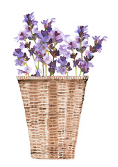 Watercolor lavender in a basket illustration. Beautiful watercolor Provence themed clipart collection. French aroma concept.Paris perfume design.