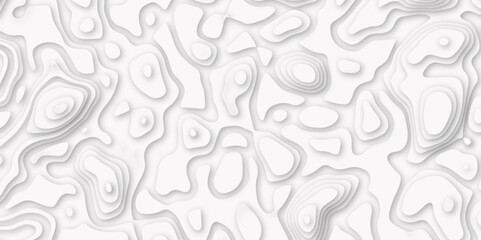 Abstract lines background. Topographic map. Geographic mountain relied on Contour maps. Vector illustration, Topo contour map on white background contour lines vector map seamless pattern. 