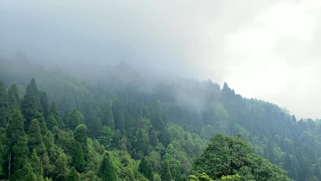 Mountains of darjeeling.View darjeeling tea garden in India, aerial videography, videos of nature, landscape
