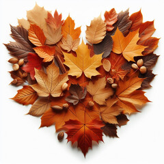 
Heart shaped autumn leaves