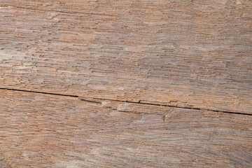 Rustic Natural Wooden Background of Old Oak Board with a Weathered Crack