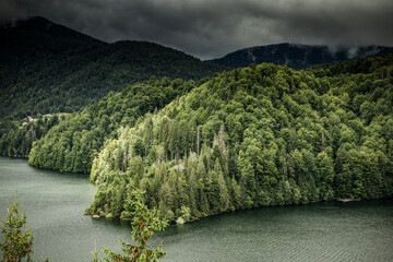 beautiful lake surrounded by green fir trees