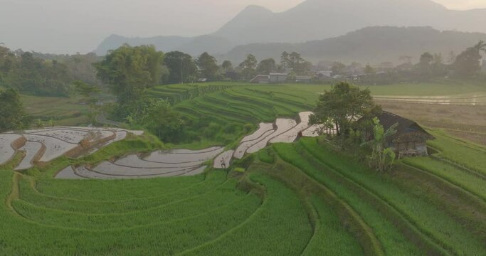 Aerial: Drone Panning Shot Of Rice Paddies On Green Hills By Mountains During Sunset - Java, Indonesia