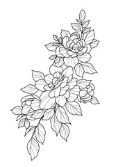tattoo illustration, design, sketch, tattoo, flowers, butterflies