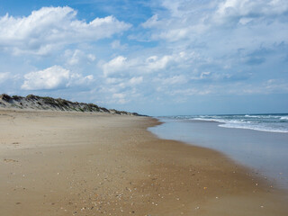 A Empty Beach with Dunes in Back Bay National Wildlife Refuge in Virginia Beach Virginia