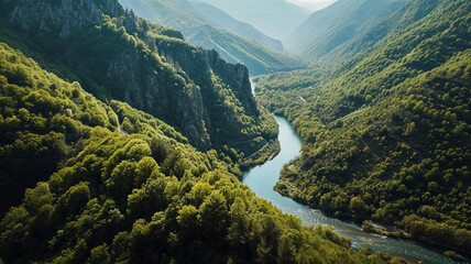 A panoramic shot of a tranquil river winding through a lush valley - obrazy, fototapety, plakaty