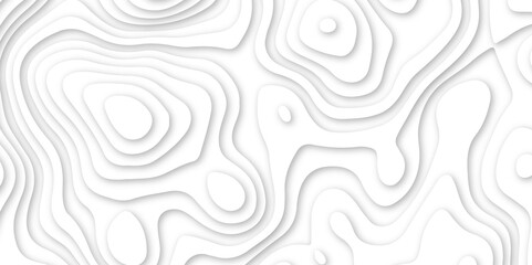 Abstract wavy line 3d paper cut white background. abstract white background with smooth wavy layers. silver grid map line topography mount contour map .