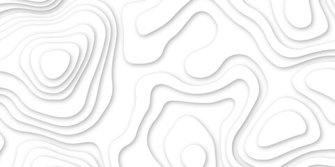 Abstract wavy line 3d paper cut white background. abstract white background with smooth wavy layers. silver grid map line topography mount contour map .