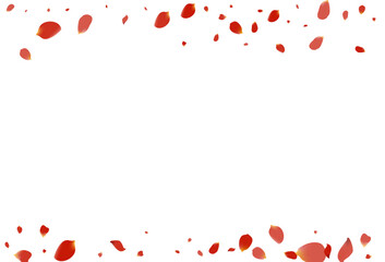 Delicate Flower Falling Vector White Background.