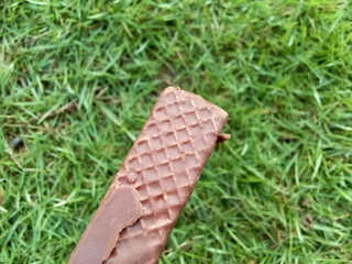 Closeup of chocolate wafers with grass background, snack theme.