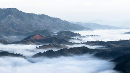 mountains in the fog