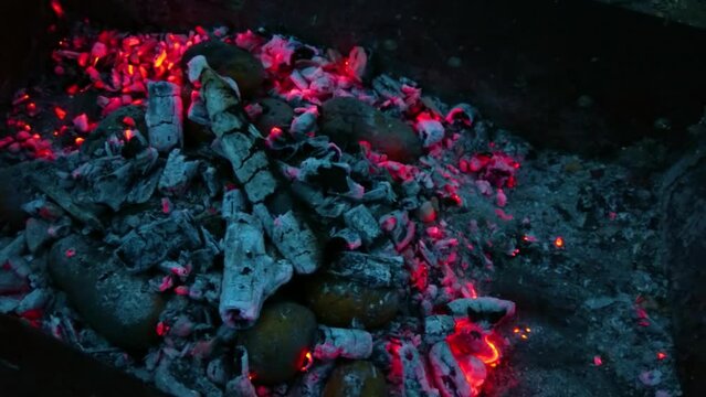 A pile of dry tree branches burns with a bright flame. Fire is burning a pile of wooden logs in a bonfire. The logs have now turned into charcoal.