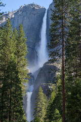 Yosemite Falls