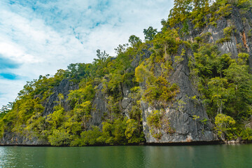 The Clift and Mangrove in Halong Bay, Alang Asaude, West Seram Regency, Maluku