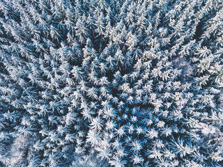 Top down drone shot of frozen tree tops in a winter wonderland forest in southern Bavaria, Germany	