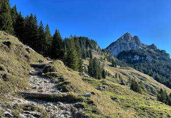 Wanderweg zum Türkenköpfl im Mangfallgebirge mit dem Wendelstein im Hintergrund, Alpen, Bayern,...