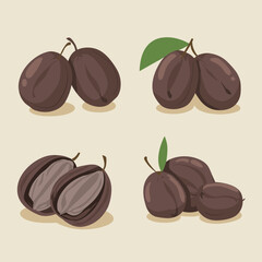 Illustration of a set of Prunes fruit vector