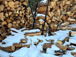 Firewood woodpile, pile of wood.