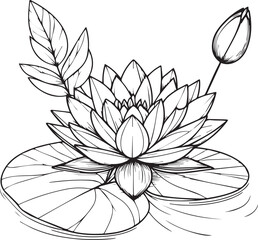 
sketch contour bouquet of waterlily flowers, Sketch lotus flower drawing, flower cluster drawing, Easy flower coloring pages, flower coloring page for kids, purple waterlily drawing