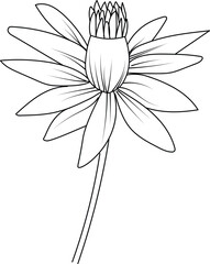 Easy yellow warerlily drawing, Beautiful waterlily drawing with leaves line art, plant branch vector botanical illustration coloring books and page for children and adults, waterlily vector