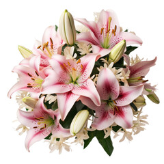 Alstroemeria  beautiful blooms always connect to a similar meaning of friendship, love, strength and devotion