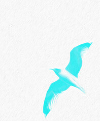 Seagull Soaring or Flying (filtered photo) in Cyan or Teal with Texture Design Element, Border, Background, Backdrop, or Wallpaper