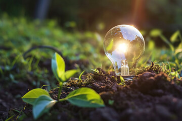 the concept of green energy, an ecological way of generating electricity, a light bulb in the ground against a background of green plants