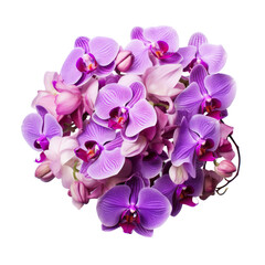 Fototapeta na wymiar bouquet pink Cattleya Orchid: Mature charm (2)