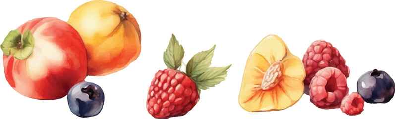 Fototapeta premium Peach, blackberry and fruits