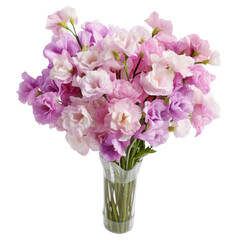 Naklejka na ściany i meble Matthiola (Stock) flower arrangement: Lasting beauty in purple, white, and pink blossoms.