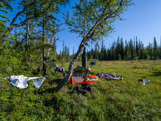 Wanderung im Skarvan og Roltdalen-Nationalpark