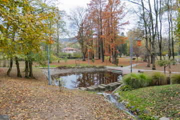 Lake in park surrounded by forest on an autumn day.