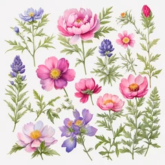 Foto auf Alu-Dibond set of watercolor painted flowers © Алена Харченко