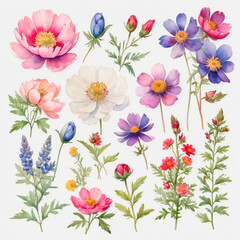 Fototapeta na wymiar set of watercolor painted flowers