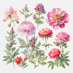 Behang set of watercolor painted flowers © Алена Харченко