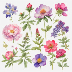 Fototapeta premium set of watercolor painted flowers