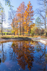 Peaceful lake surrounded by autumn trees and blue sky with reflections in water.	