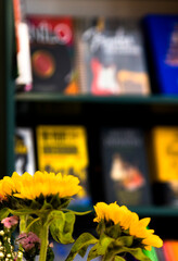 fondo borroso de estanterías en una biblioteca con libros y   con flores nítidas amarillas en primer plano