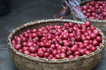 Farm fresh Pink Color Potato HD Images for Wallpaper and Research Purpose