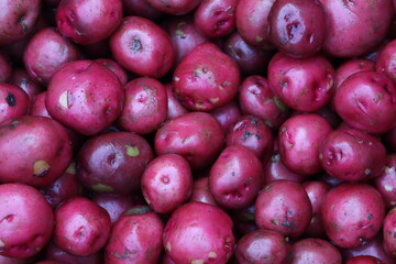 Farm fresh Pink Color Potato HD Images for Wallpaper and Research Purpose