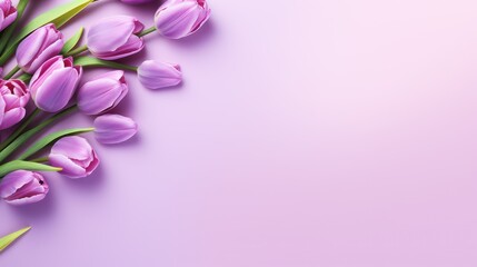 Bouquet of purple tulips on pink background with copy space