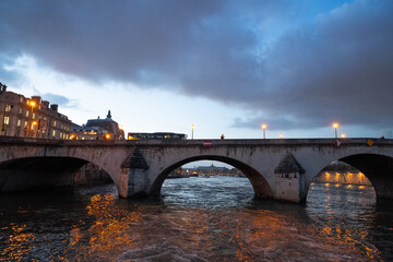 Fototapeta premium Golden Statue Pont Alexandre Bridge