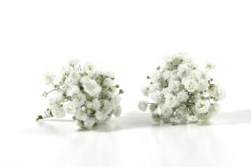 Small white Gypsophila flowers isolated on white background..Small bouquets of fluffy and cloud-like Gypsophila, commonly known as 'Baby's breath'.